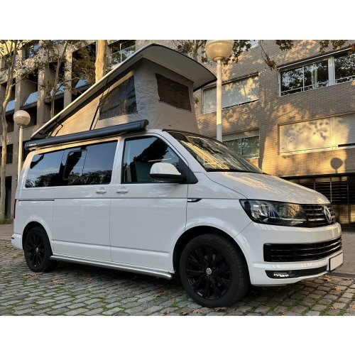 California T6